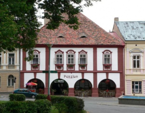 Restaurace a Penzion Podloubí Opočno